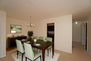 834 E Old Willow Rd unit 209, Prospect Heights, IL 60070 - photo 7