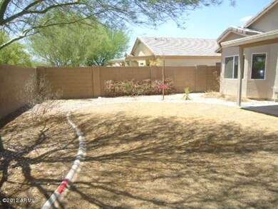 023-436180 - Backyard