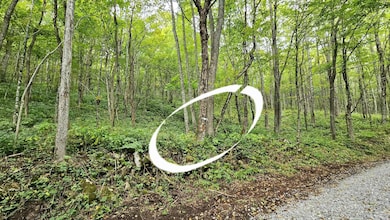 0 Lot 22 Eagles Nest unit 25-854, Snowshoe, WV 26209 - photo 5