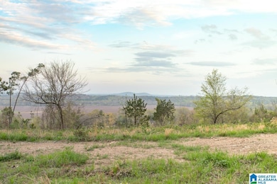 4947 U S 231 unit 3, Vincent, AL 35178 - photo 3