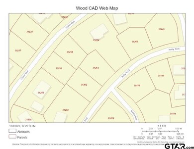CAD Parcel 31263