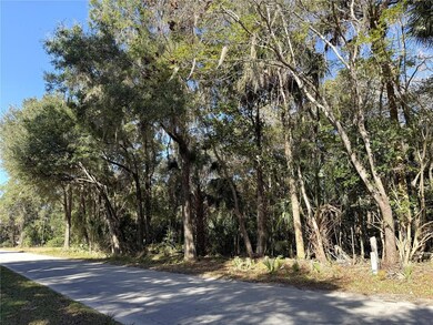 0 NE 35th St unit MFROM715037, Williston, FL 32696 - photo 3