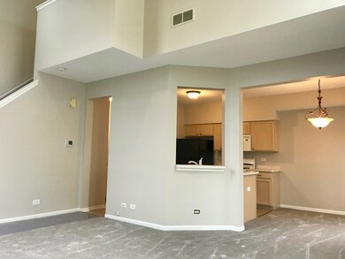 1713 Spaulding Rd, Bartlett, IL 60103 - photo 2