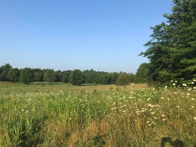 Hickory Ridge