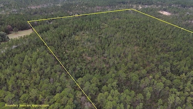 0 Deep Creek Rd, Wiggins, MS 39577 - photo 5