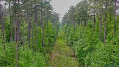 View of wooded area