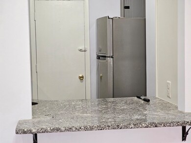 29 Custer St unit 205, Jamaica Plain, MA 02130 - photo 7