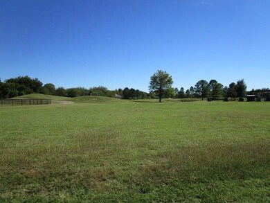 22070 Shady Grove Ct, Whitney, TX 76692 - photo 2