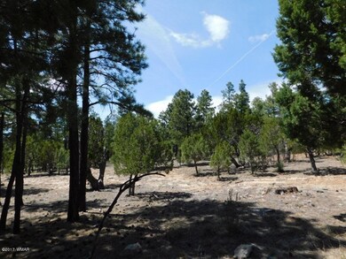 3436 Ponderosa Loop (8)