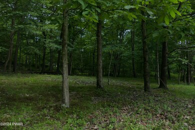 26 Riverview Dr, Lackawaxen Township, PA 18435 - photo 7