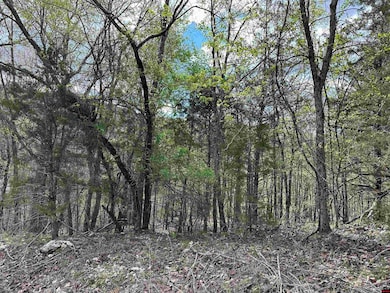 580-00005-016 Dovewood Ln, Flippin, AR 72634 - photo 5