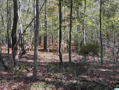 0 Bibb County 9 unit 21439274, West Blocton, AL 35184 - photo 4