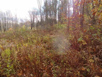 00 Raccoon Hill Rd, Salisbury, NH 03268 - photo 4