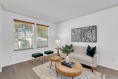 27003 Rustic Cabin, San Antonio, TX 78260 - photo 3