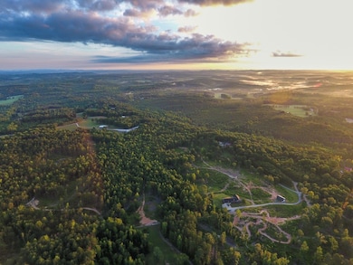 0 Roy Dean Rd unit 24150079, Buchanan, GA 30113 - photo 6