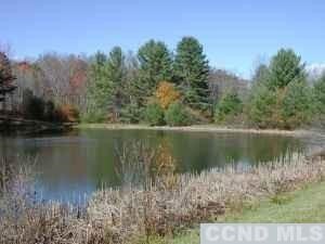 3427 County Route 9, East Chatham, NY 12060 - photo 2