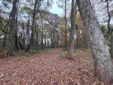 Lot 34 Old Augusta Dr, Pawleys Island, SC 29585 - photo 2