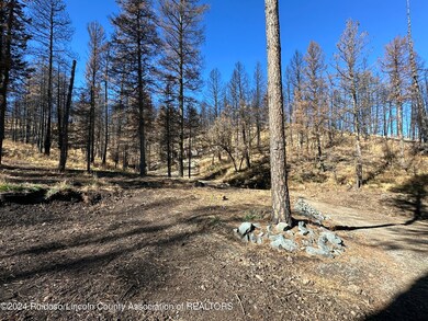 Circle Driveway area