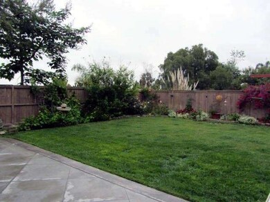 The other half of the large backyard! Plenty of ro