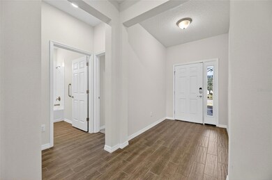 11937 Bahia Valley Dr, Riverview, FL 33579 - photo 3