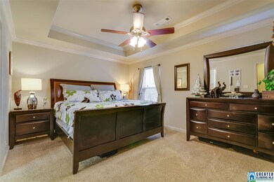 Tray ceiling in master bedroom with several window