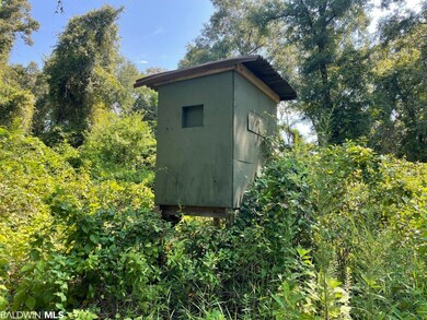 0 Albert Evans Rd unit 335684, Wilmer, AL 36587 - photo 5