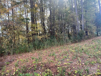 0 E Alexander St, Dallas, NC 28034 - photo 3