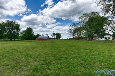 66 Acres Mint Rd, New Market, AL 35761 - photo 5