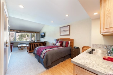 314 N Tamarron Dr unit 510, Durango, CO 81301 - photo 5