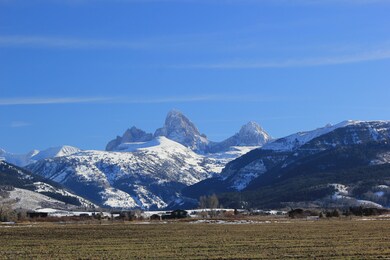 IMG_8686