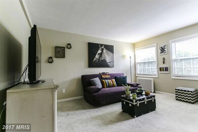 5114 Columbia Pike unit 3, Arlington, VA 22204 - photo 3