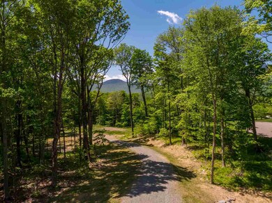 112 Thomas Pasture Rd unit 67, Stowe, VT 05672 - photo 2