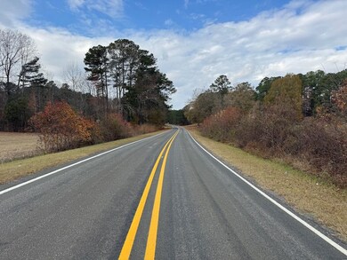 000 Martin Rd, Zebulon, NC 27597 - photo 3