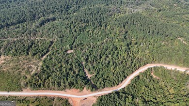 2 Emmaus Dr, Elberton, GA 30635 - photo 6