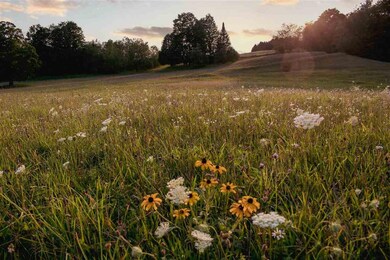 2673 Whitmarsh Rd, Vanderbilt, MI 49795 - photo 4