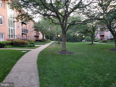 3336 Spring Ln unit A30, Baileys Crossroads, VA 22041 - photo 2