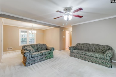 344 Cockspur Rd, Irmo, SC 29063 - photo 7