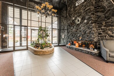 235 N Mill Rd unit 108B, Addison, IL 60101 - photo 2