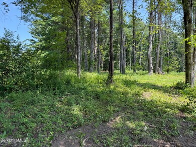 14 McGee Rd, Egremont, MA 01230 - photo 5