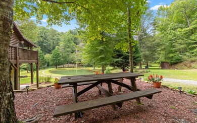 389 Ross Creek Rd, Ellijay, GA 30540 - photo 4