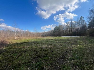 00 Lagrange Rd, Leighton, AL 35646 - photo 2