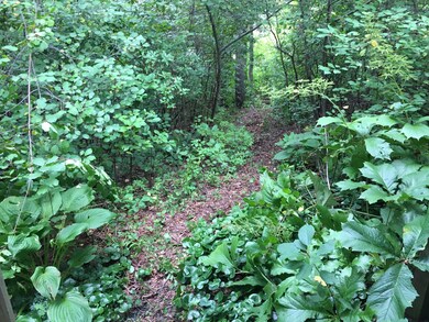 74 Three Ponds Dr, Centerville, MA 02632 - photo 3