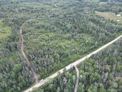 TBD Triple Creek Rd, Cornell, MI 49818 - photo 2