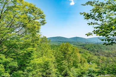 65 Snow Run Rd, Davis, WV 26260 - photo 3