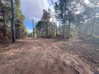 LOT 6 TBD County Road 4111, Henderson, TX 75654 - photo 2