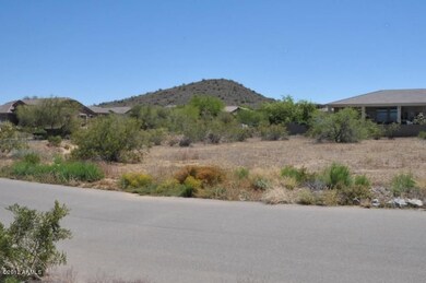 Looking Towards the Lot