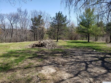 338 Hunt Rd, Westerlo, NY 12193 - photo 5