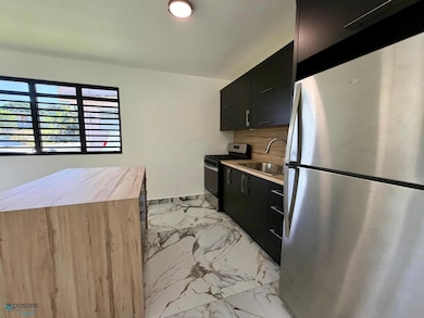 Sec Matias Carr 115, Aguada, PR 00602 - photo 2