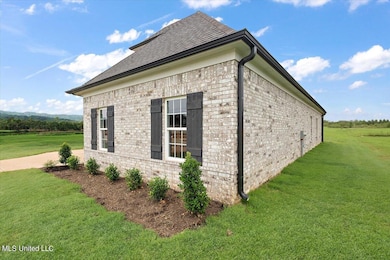 6394 Jameson Cove, Walls, MS 38680 - photo 3