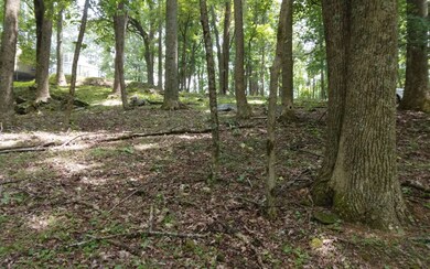 Additional View